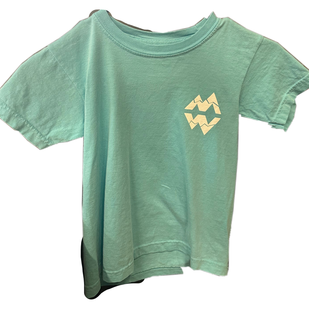 Limited Edition YOUTH Lake Fest 2025 T-Shirt